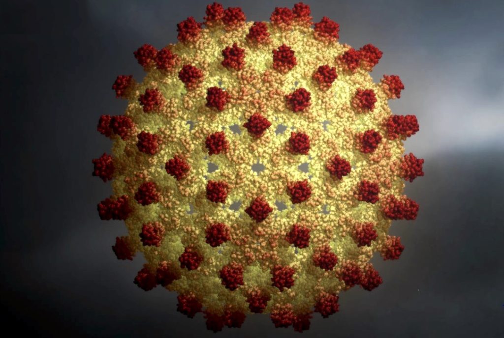 hepatitis0
