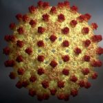 Старейшая ДНК вируса гепатита В озадачила генетиков
