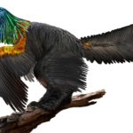 Найдены останки первого динозавра с радужным оперением