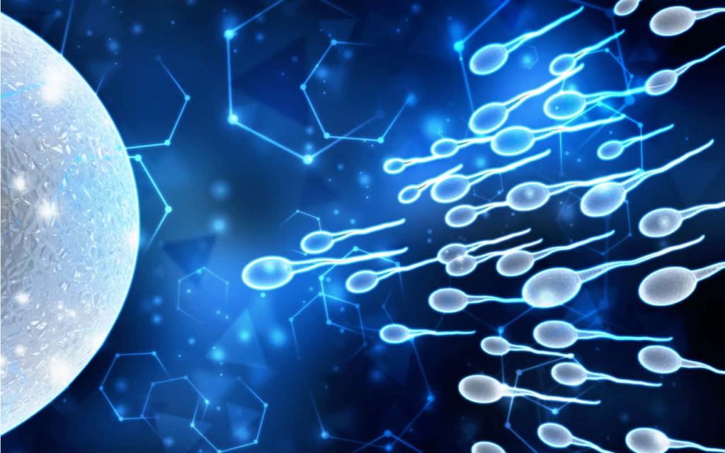 sperm0