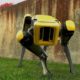 «Робособака» от Boston Dynamics научилась открывать двери
