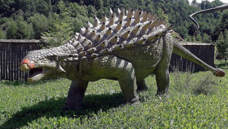 ankylosaurus0