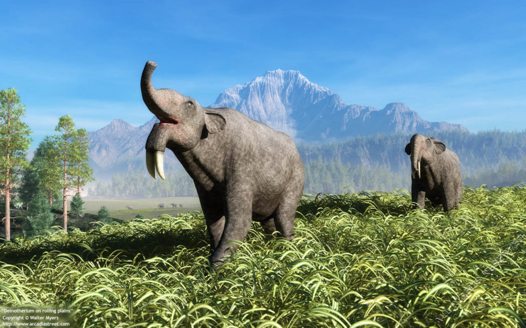 deinotherium0