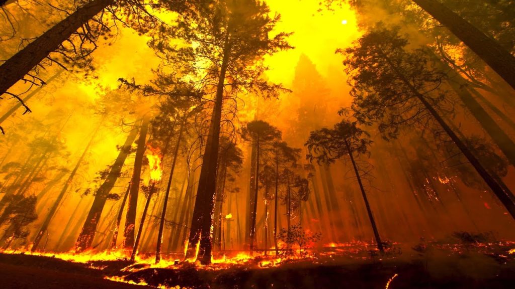 fire0