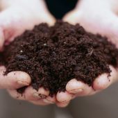soil_in_hands_-_francesca_yorke