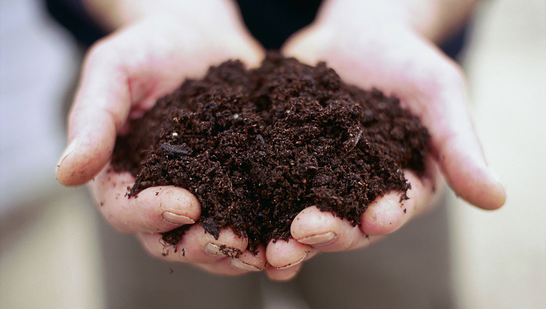 soil_in_hands_-_francesca_yorke