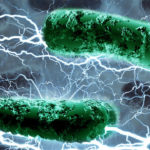 Исследован механизм «питания» бактерий электронами