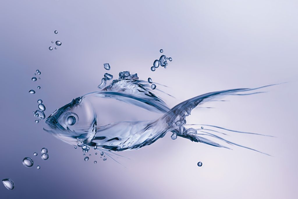 fish-made-water-figure