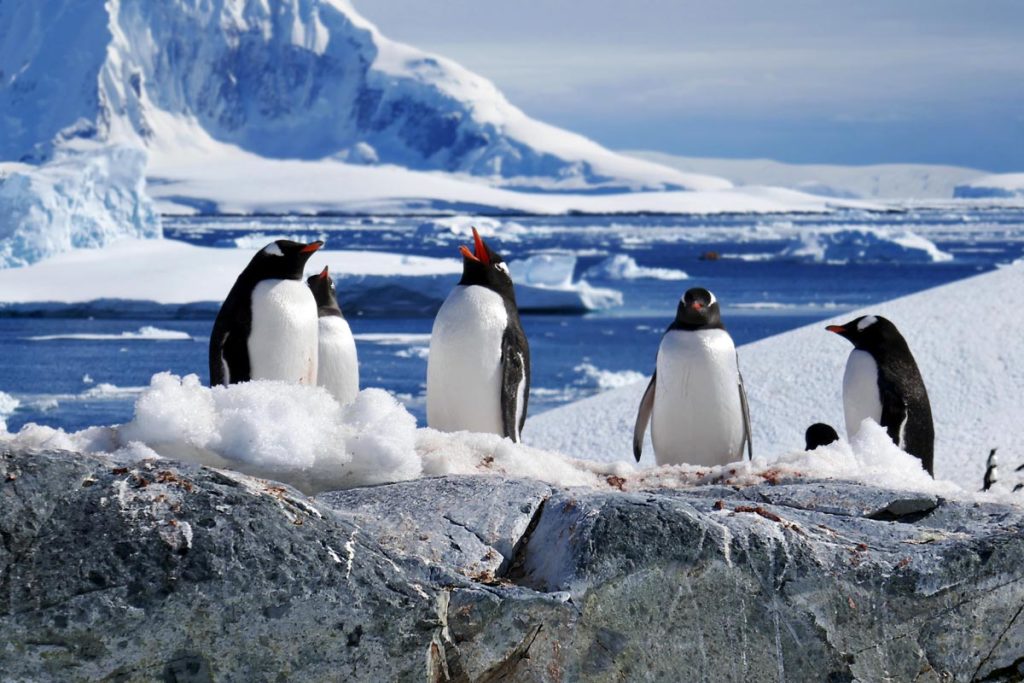 antarctica-with-quark-expeditions-29