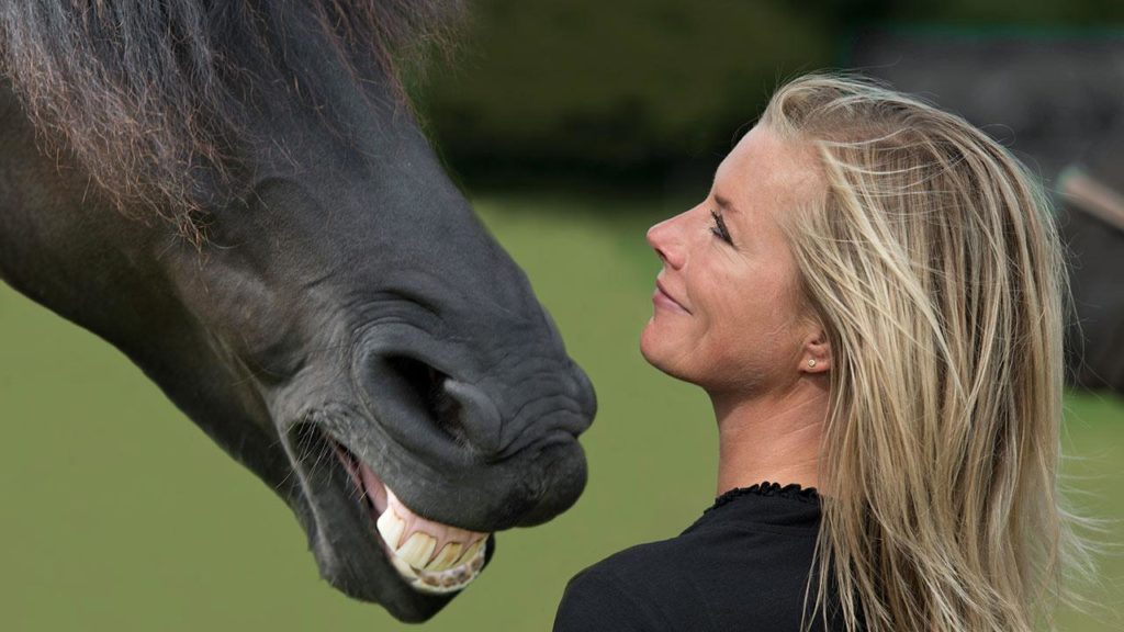 horses0
