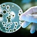 Найдена родина бактериального гена устойчивости к антибиотикам «последнего резерва»