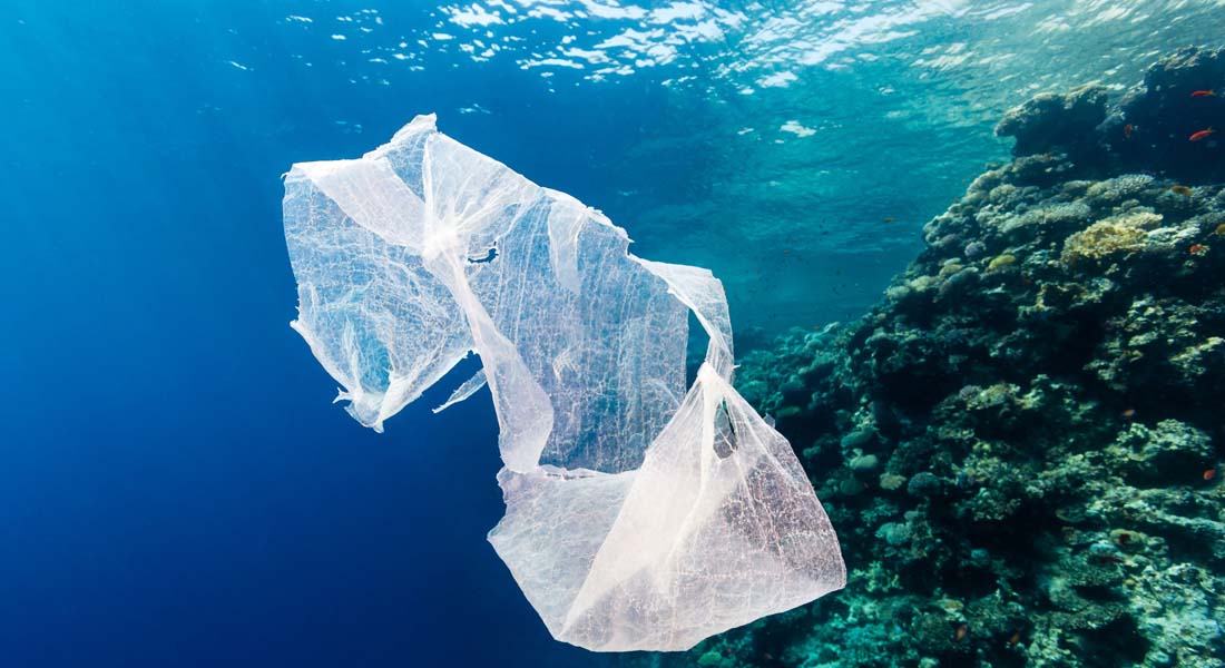 bag-at-you-fashion-blog-plastic-bag-pollution-and-fashionable-alternatives