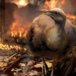 Ученые выяснили, какие птицы сумели пережить вымирание динозавров