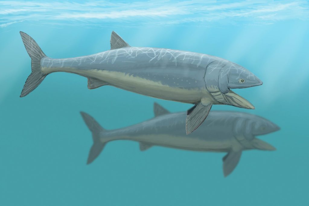 leedsichtys092