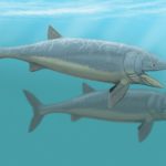 Палеонтологи оценили скорость плавания самых гигантских костных рыб в истории
