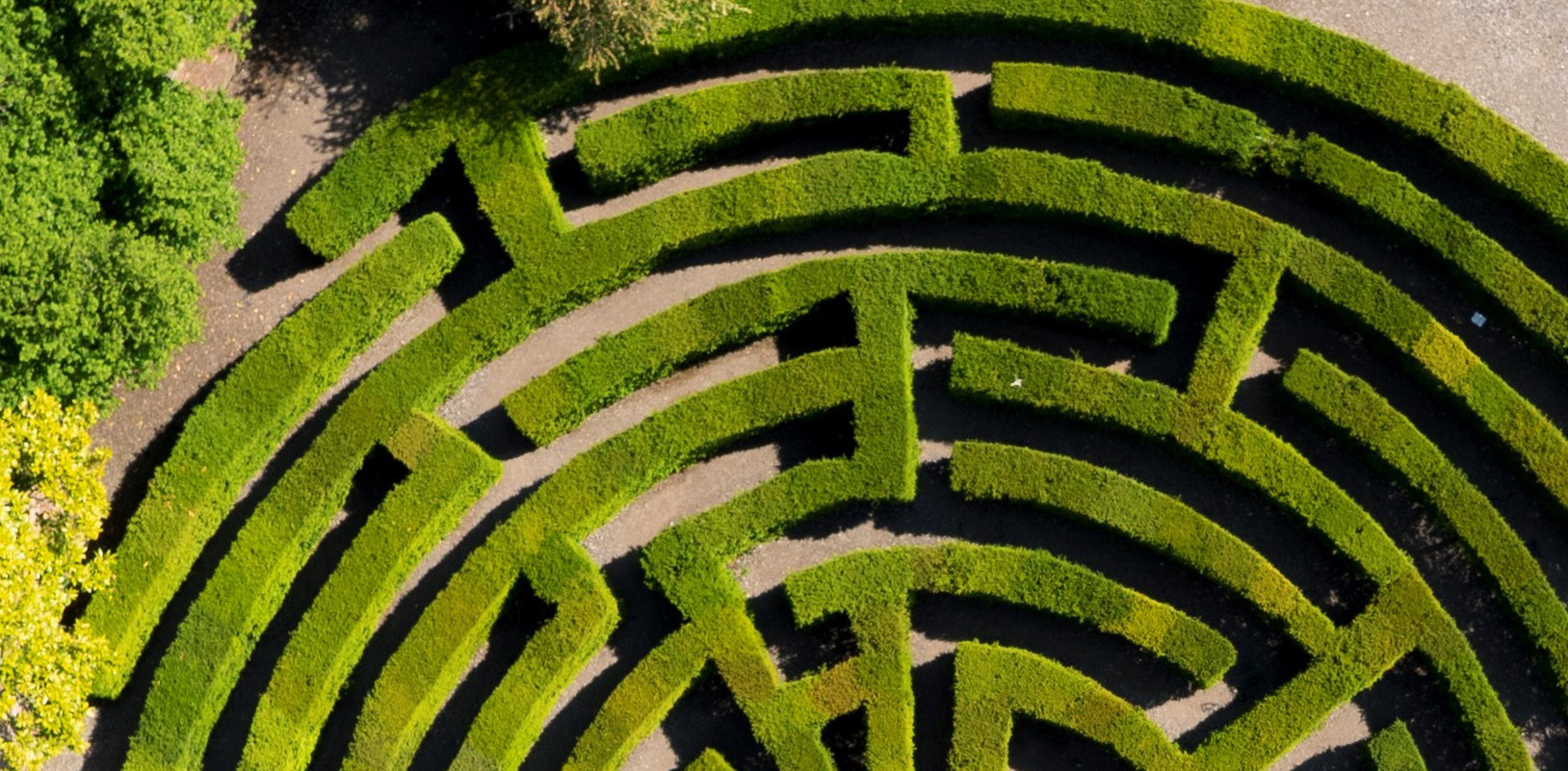 maze_from_above