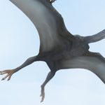 Птеродактили оказались неспособны летать, широко раскинув крылья