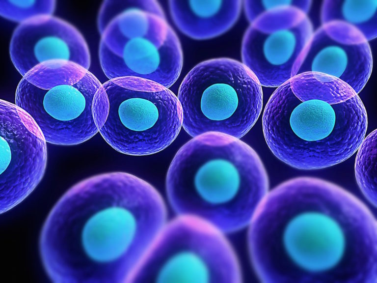 stem-cell-11-1024x7681