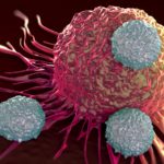 Новый метод позволит остановить распространение клеток четырех типов рака