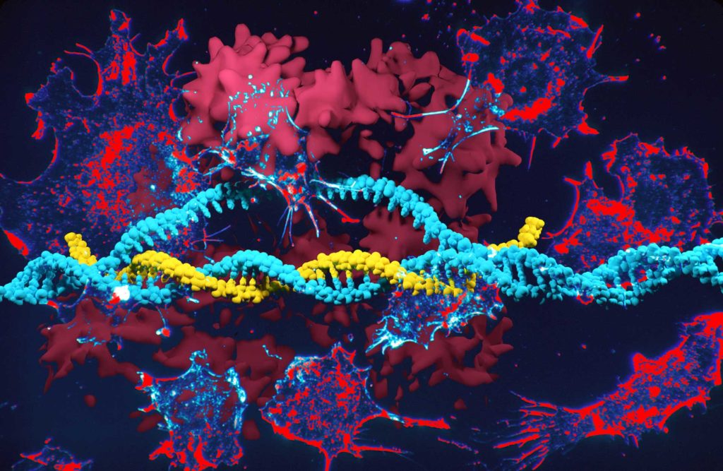 crispr1