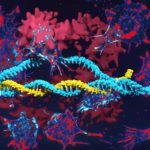 CRISPR может помочь в лечении болезней, а также вызвать рак