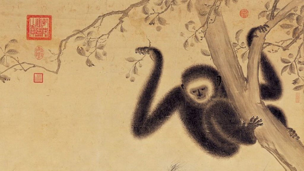 gibbon0