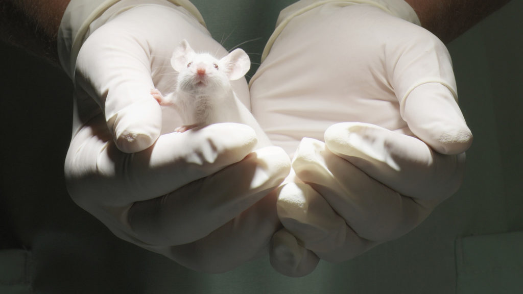 mice0