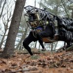 Начаты работы по созданию российского аналога робота Boston Dynamics