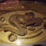 Раскрыт секрет бальзамирования первых египетских мумий