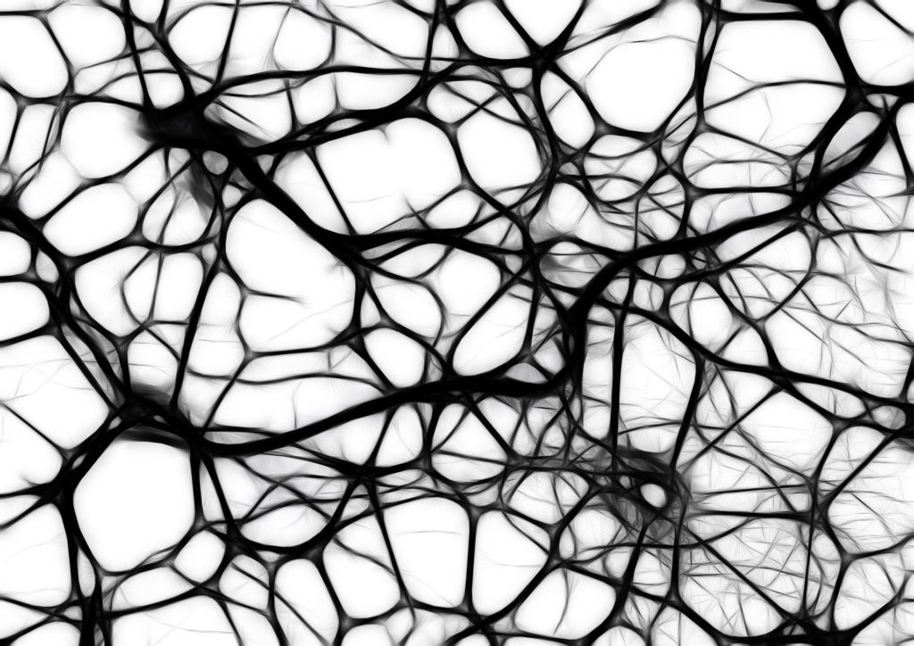 cellnetwork1