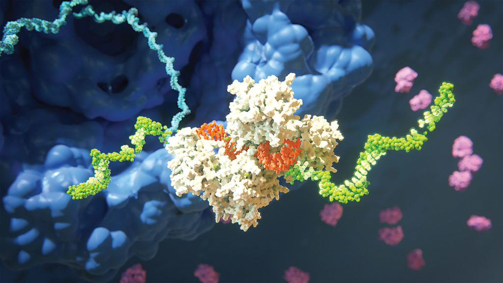 rnai_fig2_alnylam1
