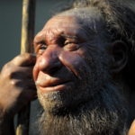Исследование показало, что неандертальцы обладали ловкими руками