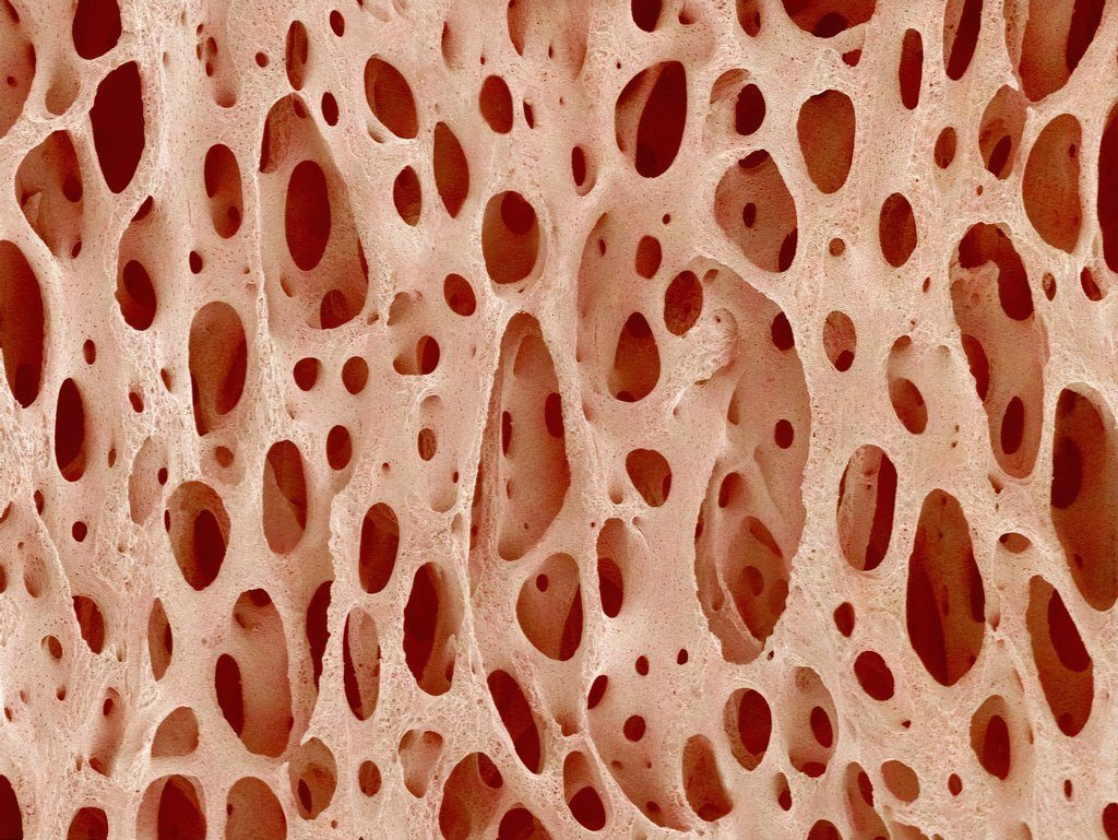 42-22949676_1024x1024