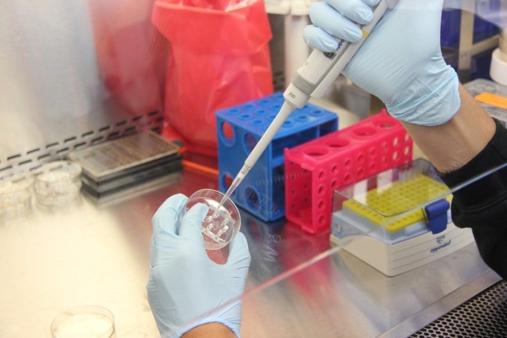 laboratory1