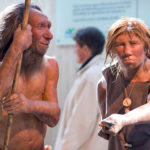 Современные люди получили защиту от вирусов от неандертальцев