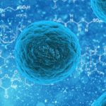 «Межклеточная пыль» улучшит регенеративную медицину