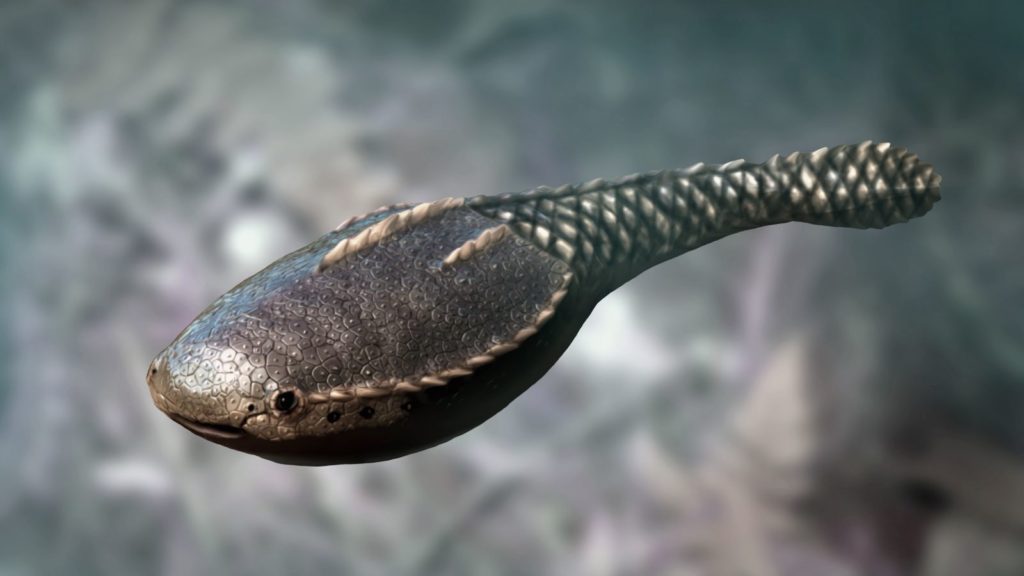fish0