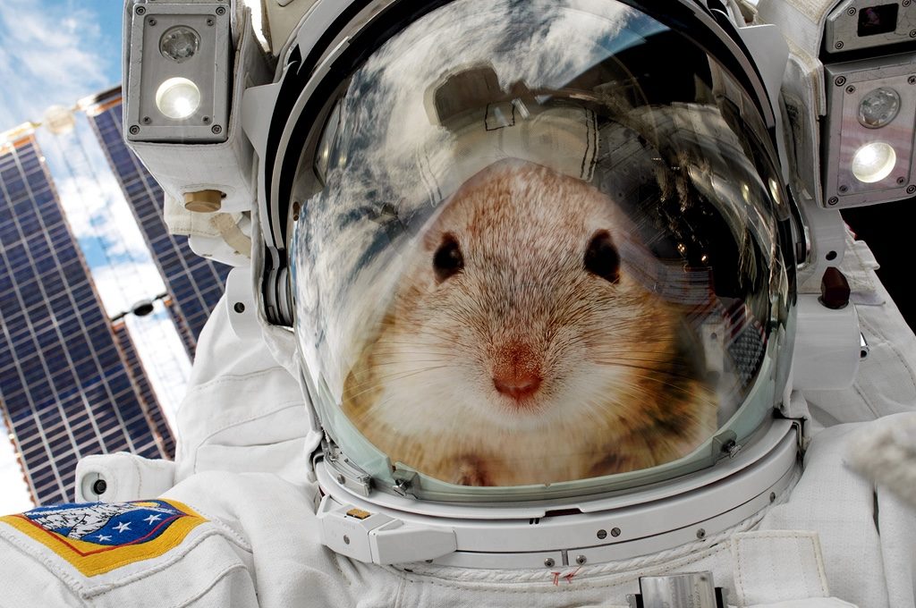 mouspace0