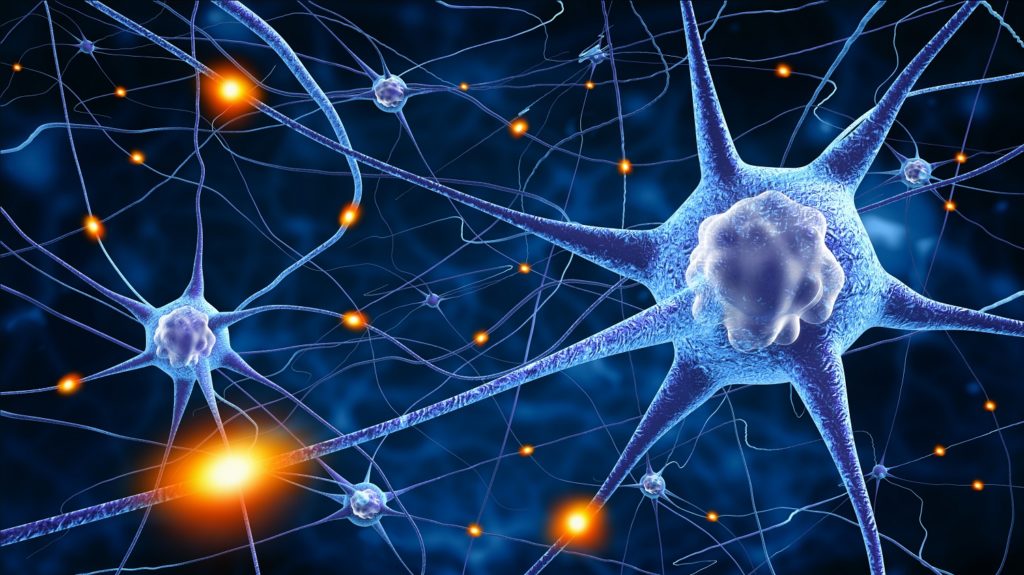 neuroscience-2017-71