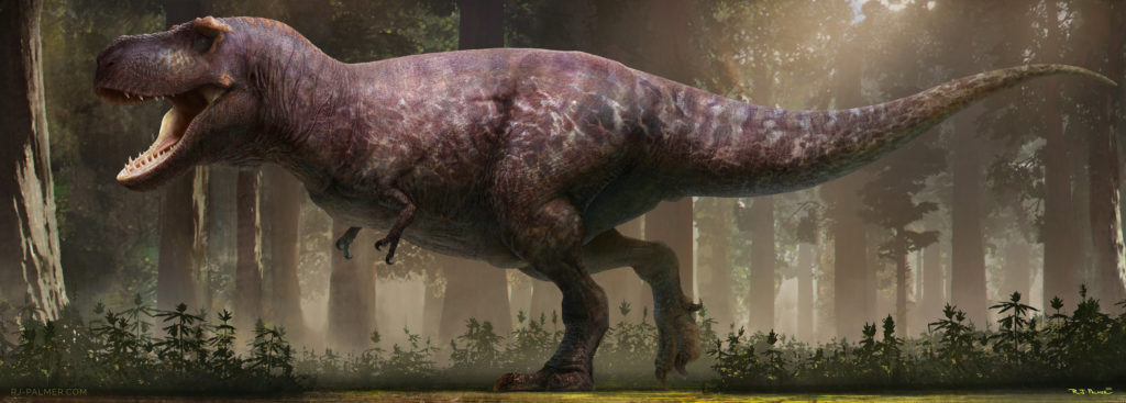 rjpalmer_newrex_0011