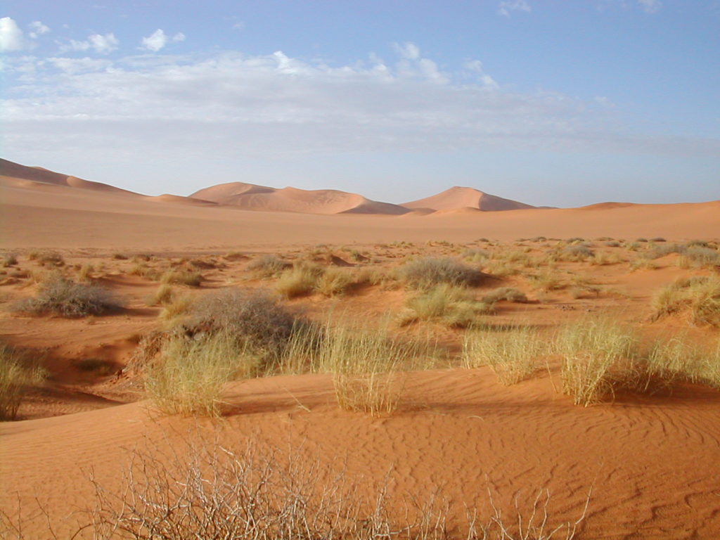 sahara
