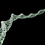 Масштабное исследование заставило переоценить влияние генетики на продолжительность жизни