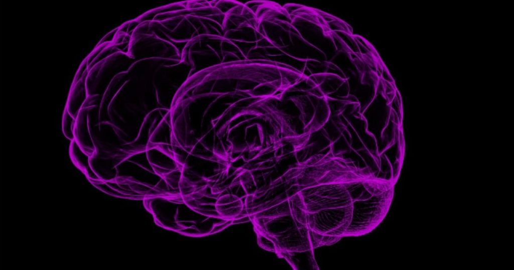 brain-1787622_1920