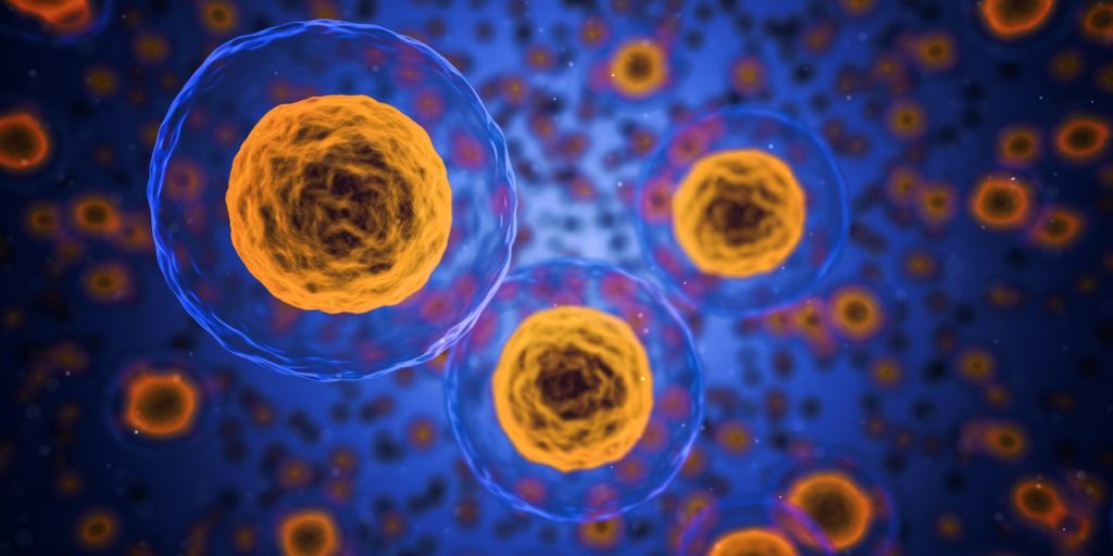 cells1