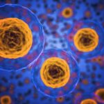 Новый способ исследования клеточных мембран поможет в изучении болезней