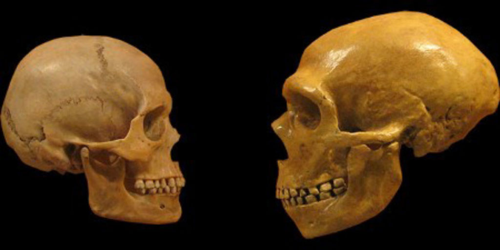 effects-of-neanderthal-dna-on-modern-humans-l1