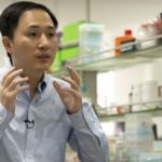 Китайский университет официально отрицает участие в редактировании генов эмбрионов