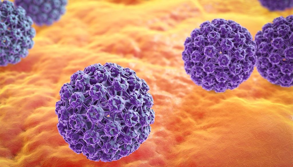 hpv0