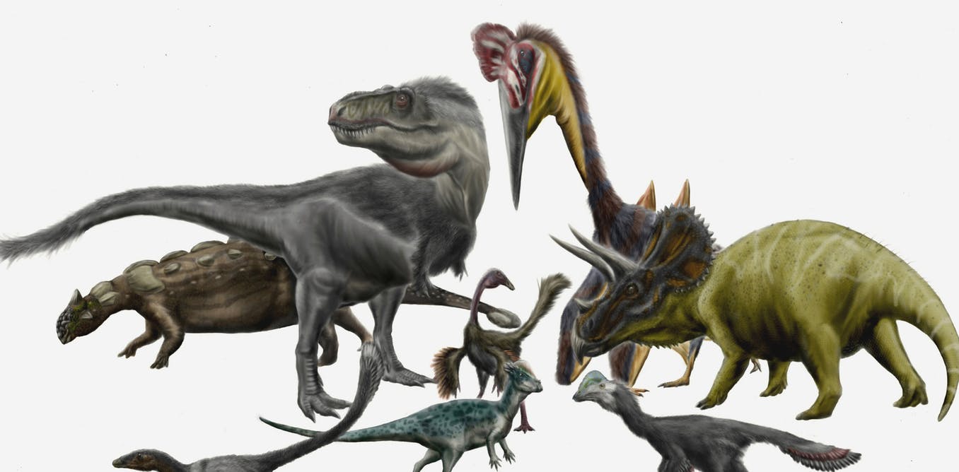 Как динозавры получают имена