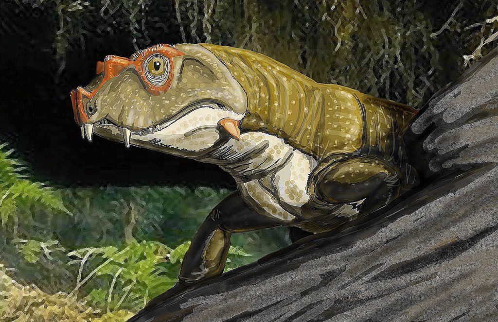 reptile0
